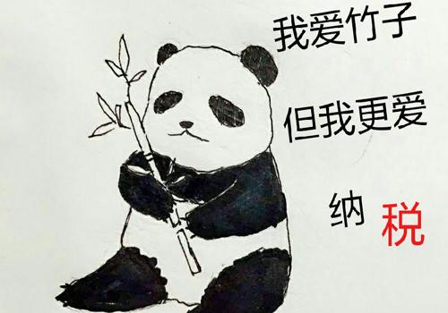 怎么在網(wǎng)上進(jìn)行納稅申報(bào)？有哪些流程和步驟？
