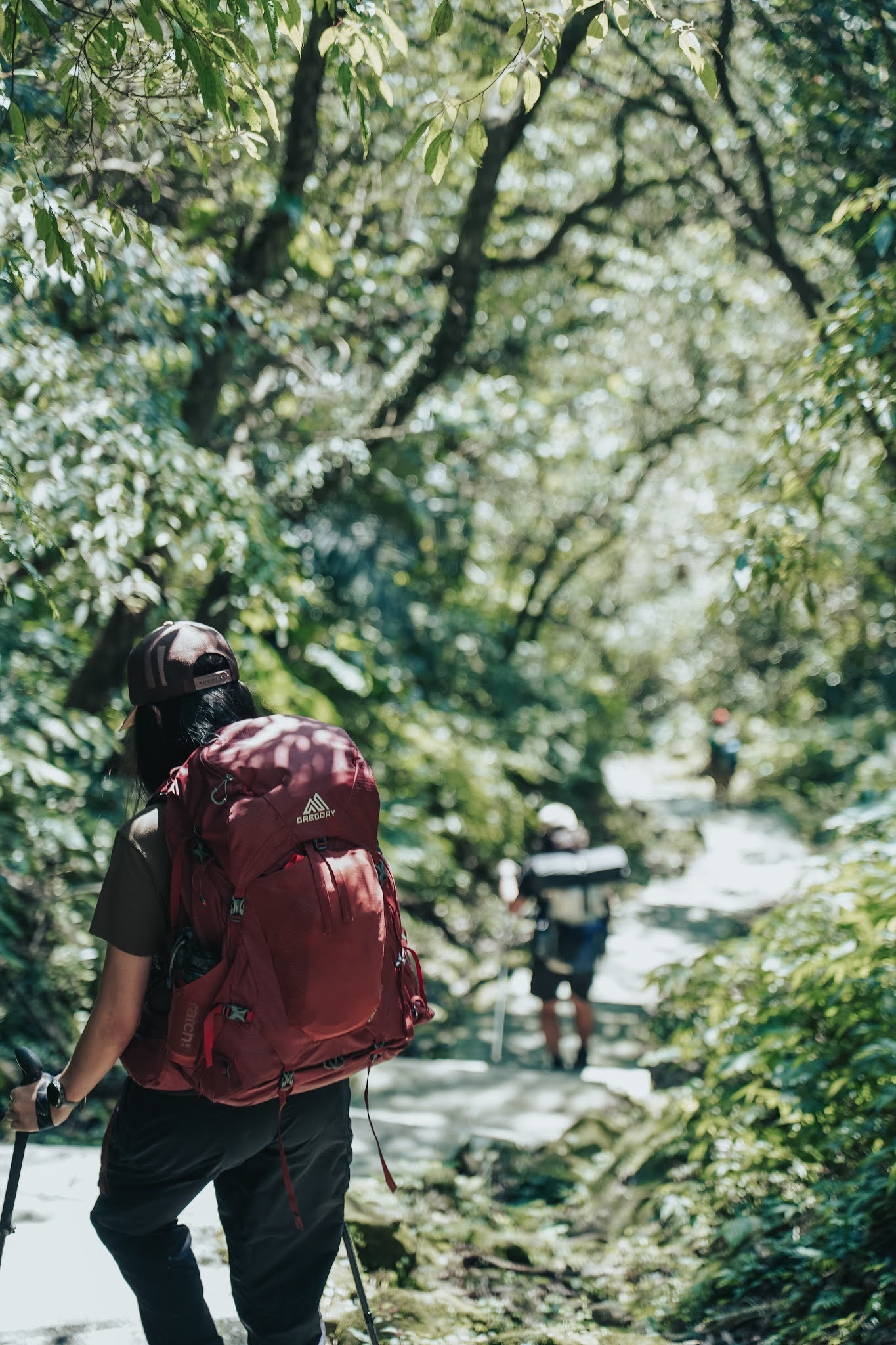 適合登山的大牌背包品牌，Gregory格里高利新款背包實測體驗