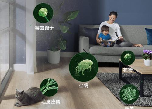 戴森V7 Mattress除螨器，家庭塵螨沒(méi)蹤跡