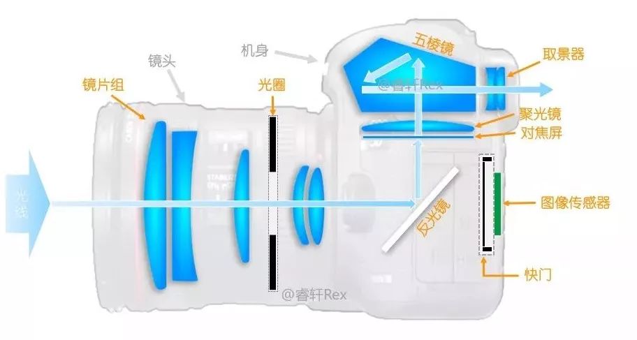 單反單反，到底什么是單反？