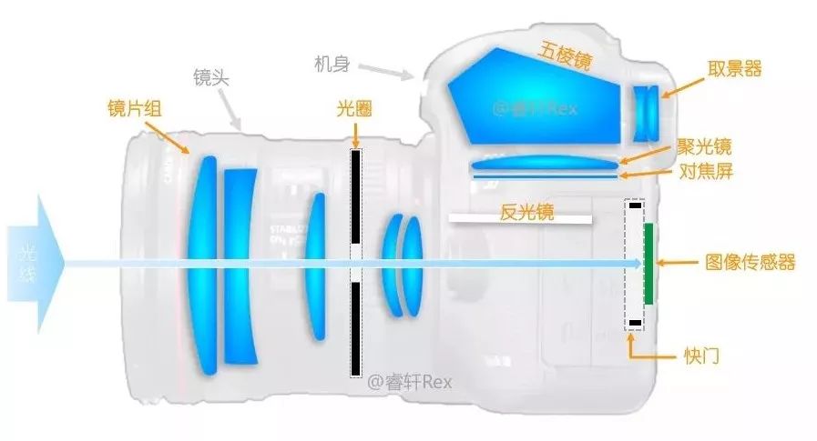 單反單反，到底什么是單反？