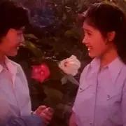80年代好看的老電影(十部80年代最美的老電影)(21)
