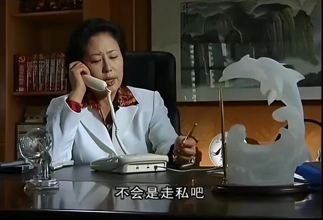 史上最全的十大反腐電視?。ㄅ牡锰鎸嵙诉@10部）(9)