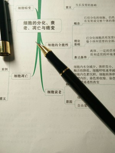 英雄鋼筆哪個(gè)型號(hào)好怎么樣，用戶體驗(yàn)評(píng)測(cè)(價(jià)格有優(yōu)惠喲)