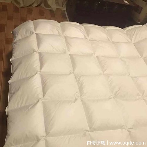 南極人羽絨被質(zhì)量怎么樣，真實(shí)使用體驗(yàn)(大朵羽絨舒適蓬松)