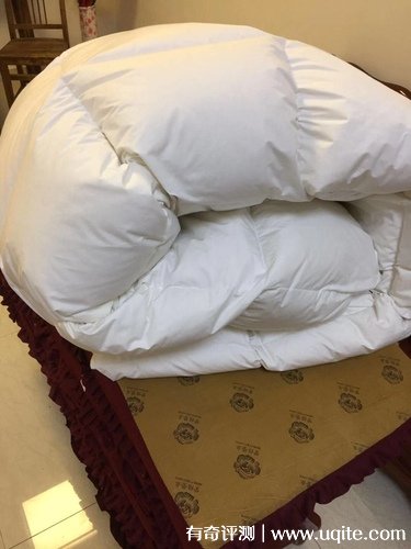 南極人羽絨被質(zhì)量怎么樣，真實(shí)使用體驗(yàn)(大朵羽絨舒適蓬松)