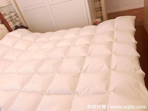 南極人羽絨被質(zhì)量怎么樣，真實(shí)使用體驗(yàn)(大朵羽絨舒適蓬松)